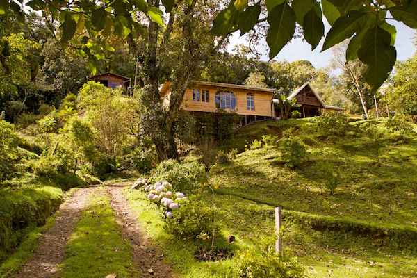 Photo Hotel Cedrela Ecolodge