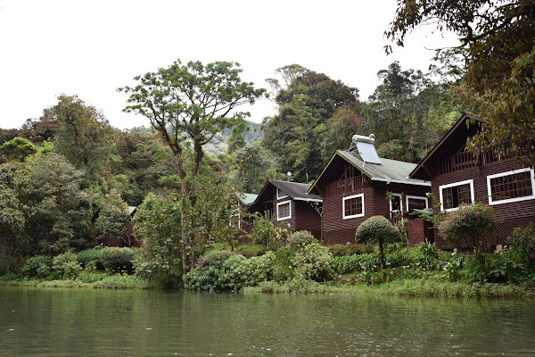 Hotel Sueños del Bosque Lodge 