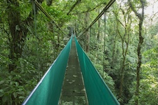 pont suspendu de la réserve Heliconia  au Tenorio au Costa Rica