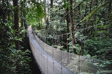 Pont suspendu dans la forêt nuageuse à Monteverde
