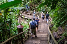 Sentier aménagé dans un parc a Monteverde