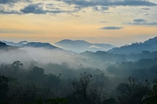 Vue de haut du parc national Carara