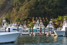 Bateaux de pêche a la marina de Los Sueños
