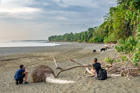 Touristes photographie un tapir et son bebe à drake Corcovado