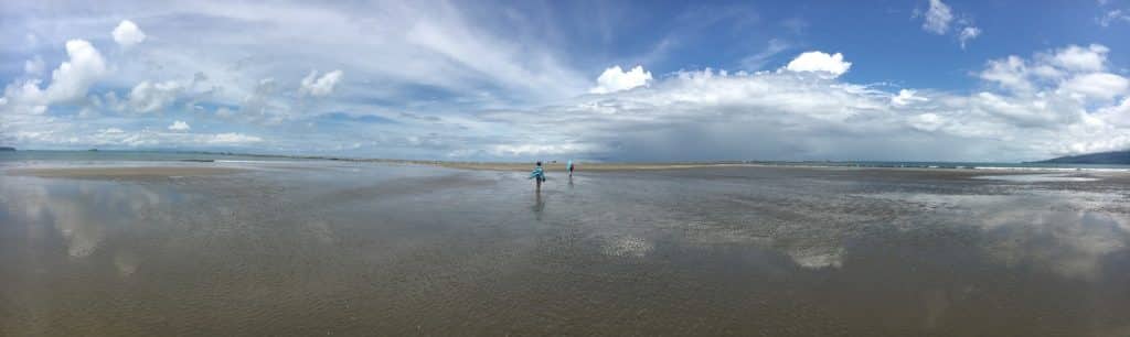 panorama marino ballena