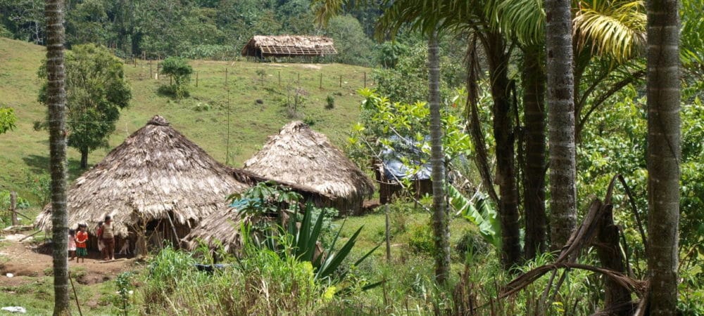 ecotourisme dans la vraie vie