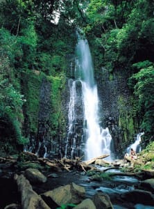 Cascade du parc national de Corcovado