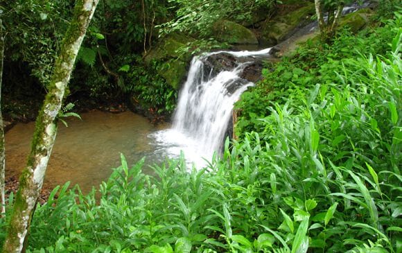 Cascade au Costa Rica