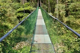 Zoom : la Tirimbina Rainforest Center