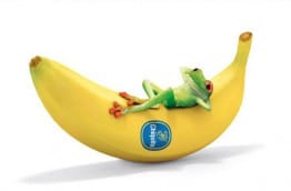 Costa Rica : souriez, vous avez la banane !