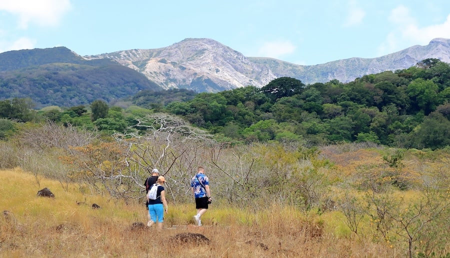 paysage guanacaste foret tropicale seche