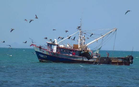 La pêche artisanale au costa rica