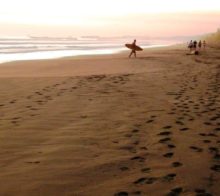 plage matapalo costa rica decouverte