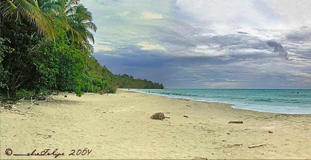 Plage Tour Du Costa Rica Costa Rica Découverte