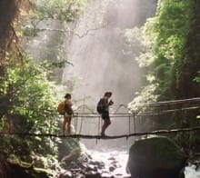 Pont suspendu jungle du Costa Rica