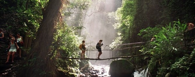 Pont suspendu jungle du Costa Rica