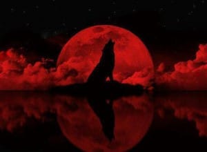 Blood-Tetrad-Moon-Werewolf