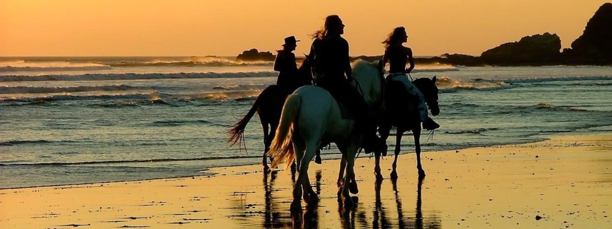 equitation plage costa rica