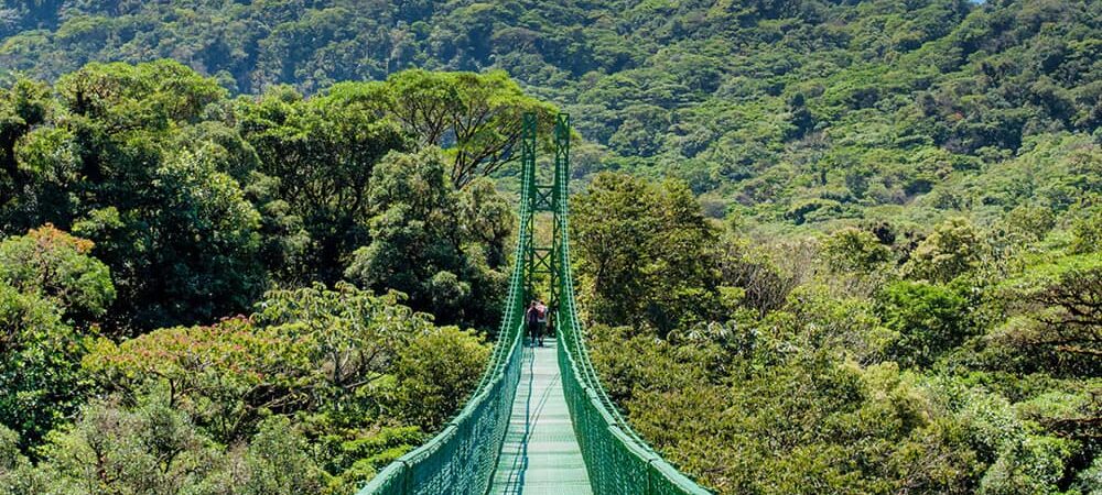 ponts suspendus selvatura costa rica decouverte 1