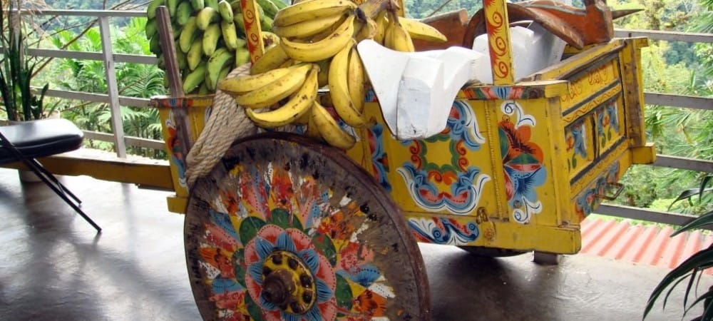 Charette décorée et bananes a Sarchi