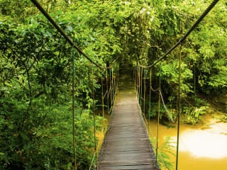 Pont suspendu Costa Rica