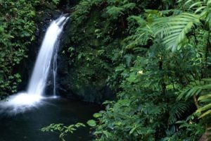 Monteverde Cloud Forest costa rica decouverte slide