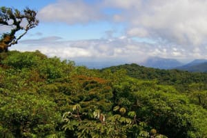 Paysage Monteverde