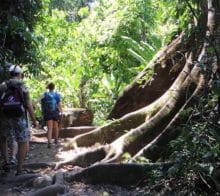 parc national corcovado costarica decouverte