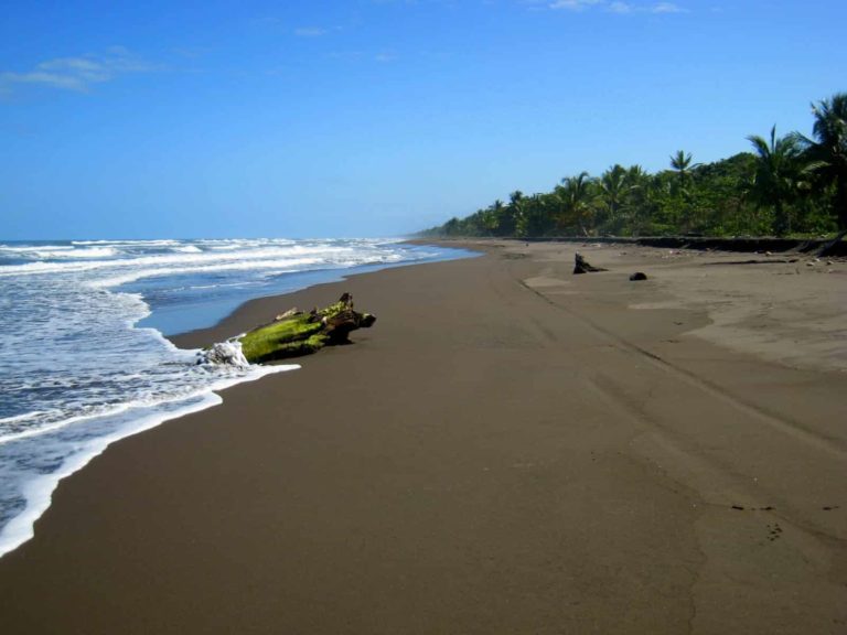 playa tortuguero