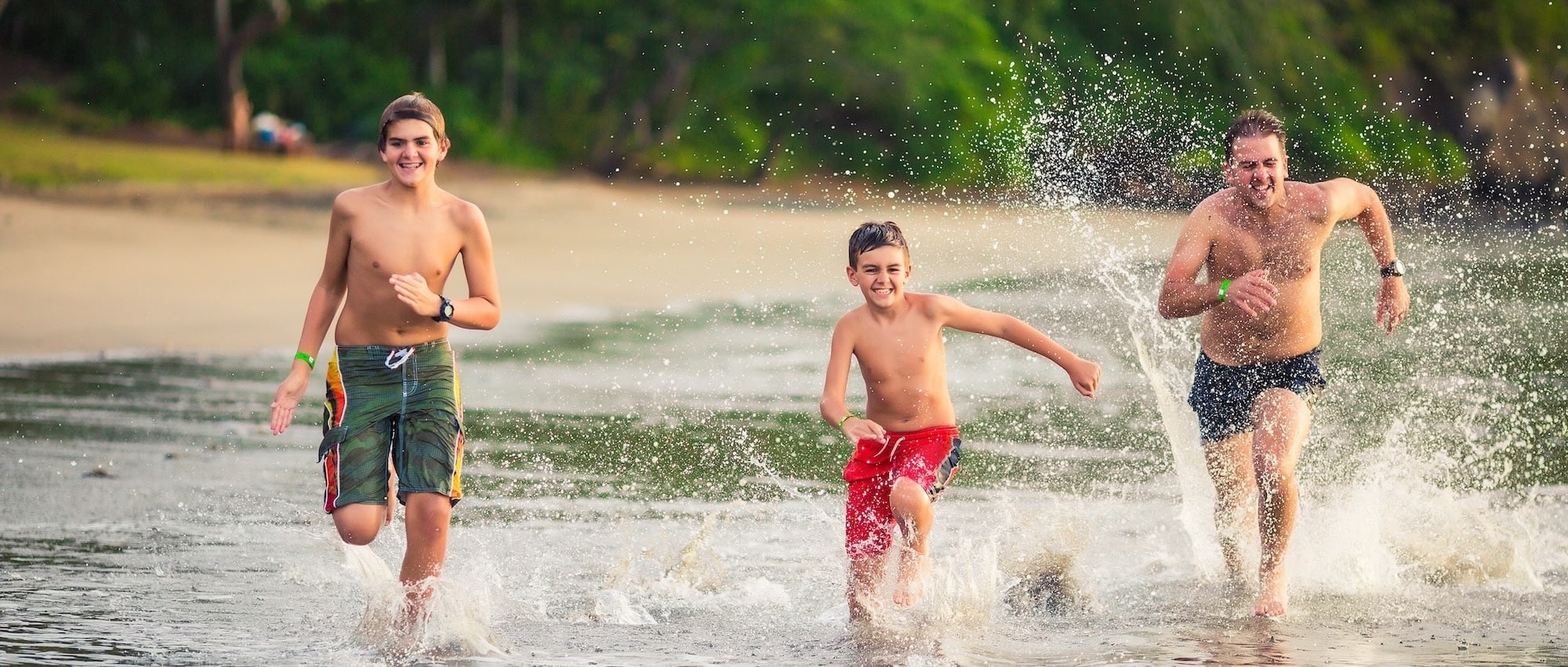 faune iguane px copie