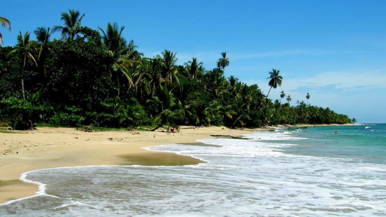 plage uvita costa rica decouverte