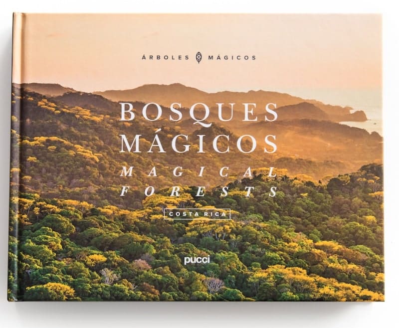 Cover bosque Magic's Pucci
