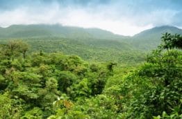 Hojancha : l’oasis de la nature du Guanacaste