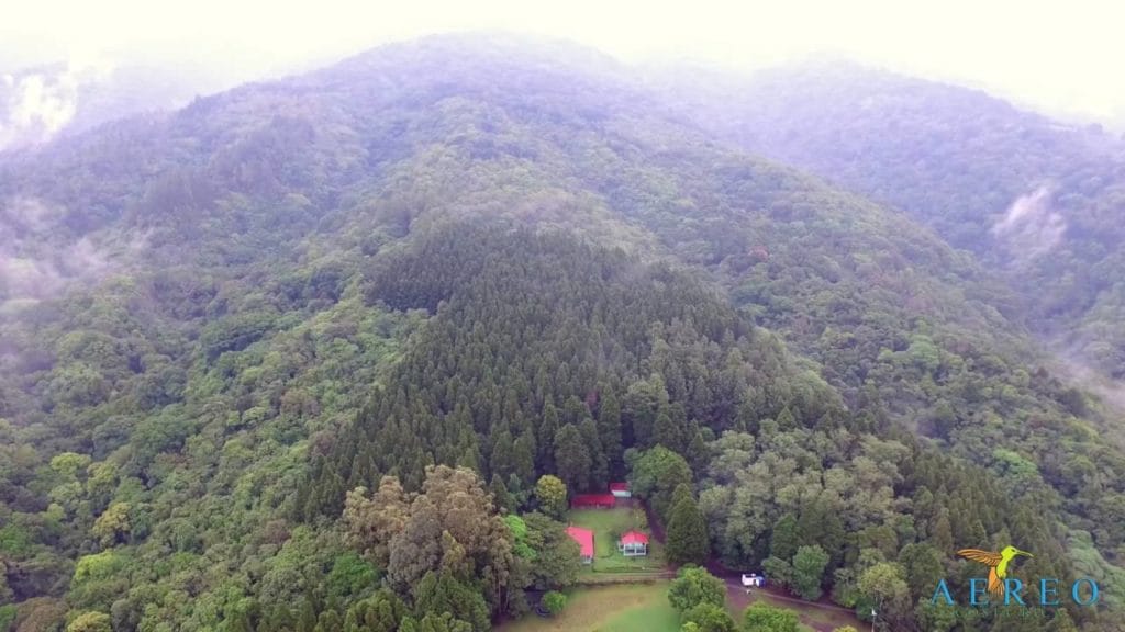 mont-bosque-del-nino-costa-rica-decouverte