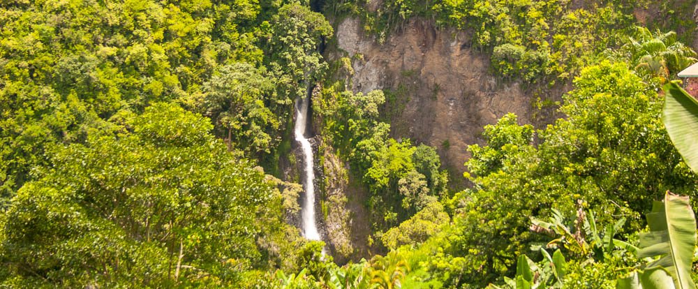 parc-national-tapanti-seul-costa-rica-decouverte