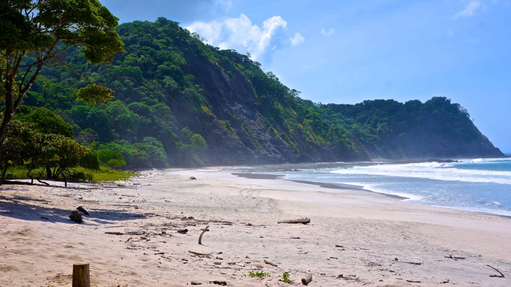 playa-barrigona-seul-costa-rica-decouverte