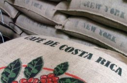 Le Costa Rica célébrera la Journée nationale du café