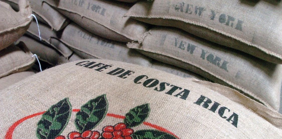 cafe-costa-rica-decouverte