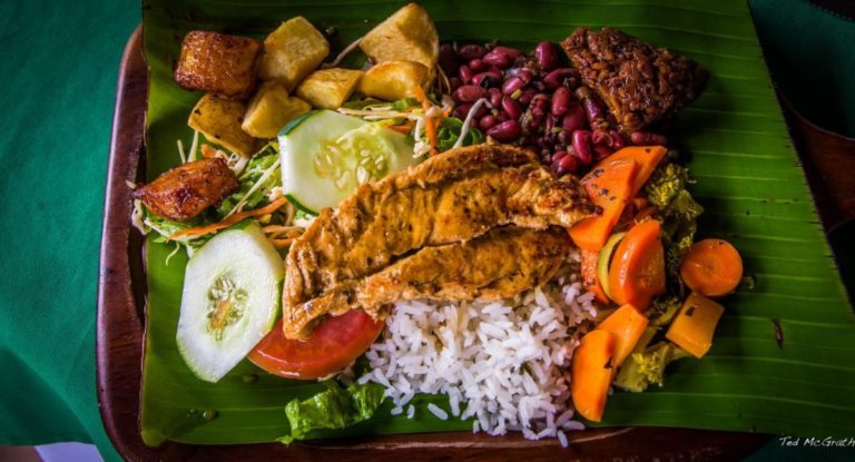 plat costa rica decouverte