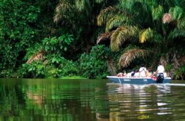 Tortuguero : un exemple de conservation et de développement au Costa Rica