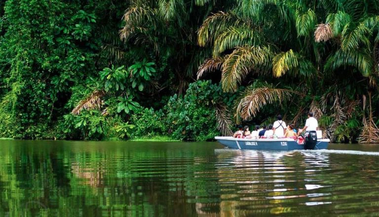 tortuguero bateau costa rica decouverte