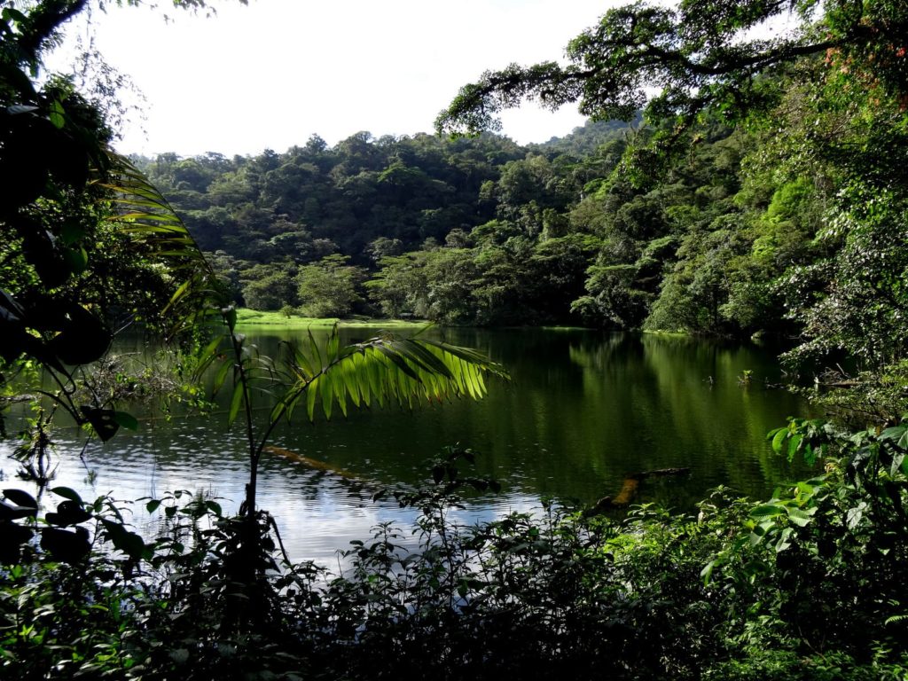 lagunes-pocosol-costa-rica-decouverte