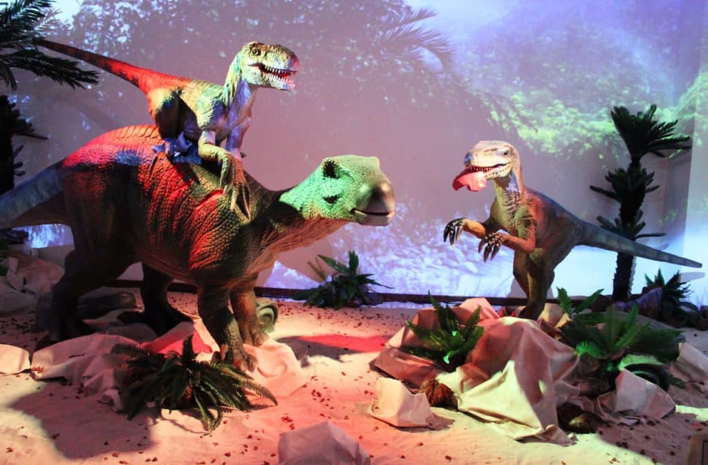 musee-des-enfants-mundosaurio-costa-rica-decouverte