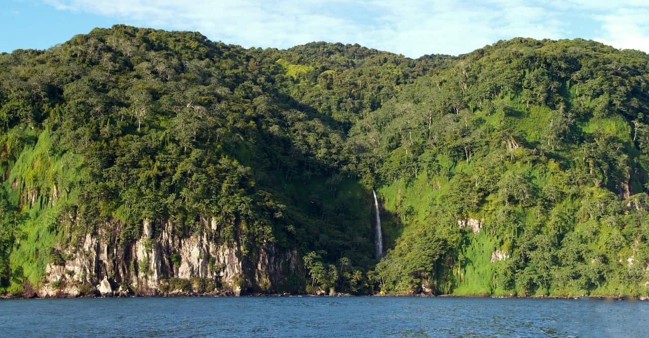plante endemique isla del coco costa rica decouverte