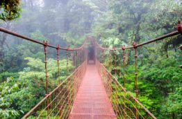 Top 5 des meilleures forêts tropicales du Costa Rica
