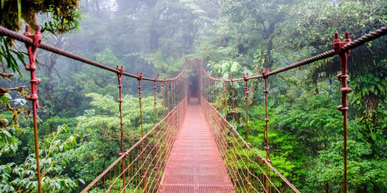 forets tropicales costa rica decouverte