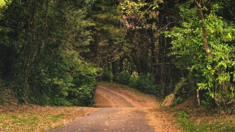 san rafael de heredia monte de la cruz costa rica decouverte