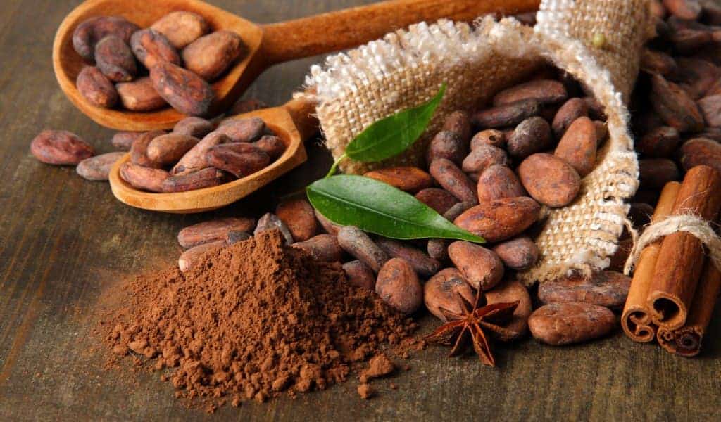 upala-cacao-graine-costa-rica-decouverte