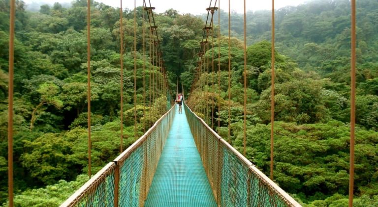 ponts suspendus costa rica decouverte