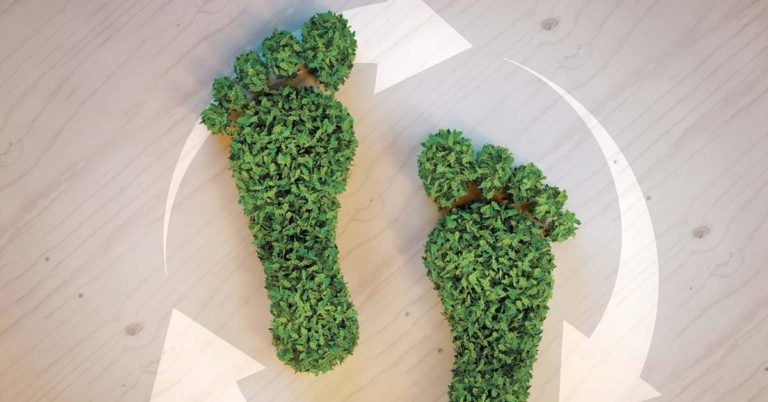 plan environnemental empreinte san jose costa rica decouverte